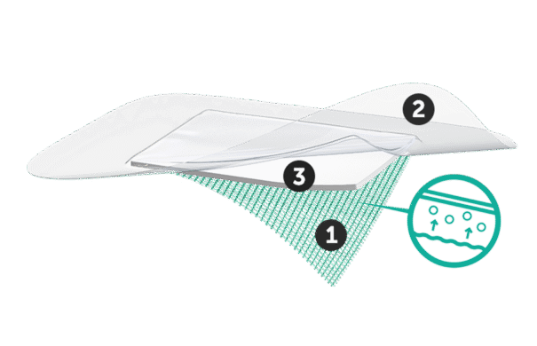 Kuvitus Sorbact Secure -sidoksen kolmesta kerroksesta. Numero 1 alimmassa vihreässä kerroksessa, numero 2 ylimmässä läpinäkyvässä kerroksessa, numero 3 keskimmäisessä kerroksessa.