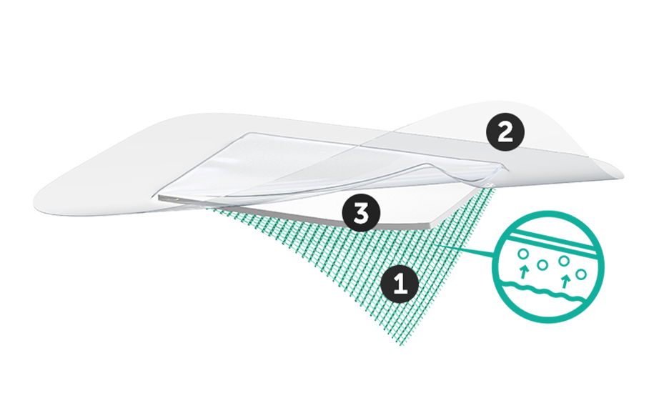 Kuvitus Sorbact Secure -sidoksen kolmesta kerroksesta. Numero 1 alimmassa vihreässä kerroksessa, numero 2 ylimmässä läpinäkyvässä kerroksessa, numero 3 keskimmäisessä kerroksessa.